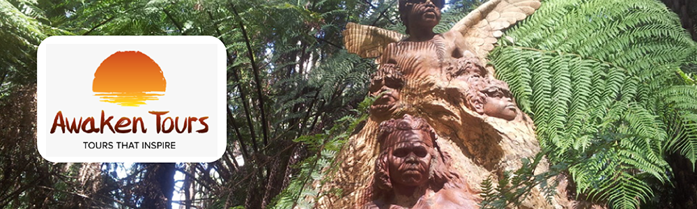 NEIS Change Awards 2016