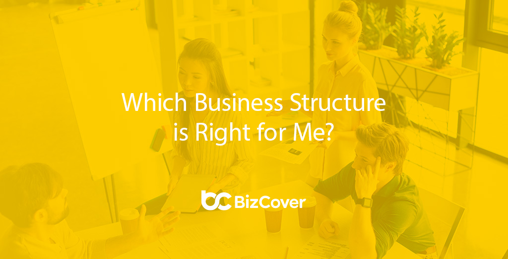 Business structure guide